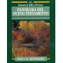 Panorama del Nuevo Testamento - Benware