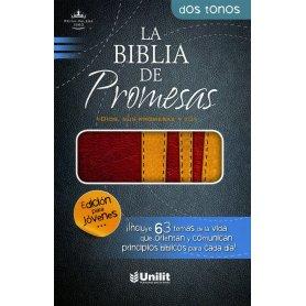 Biblia de Promesas Dos Tonos Piel Jóvenes