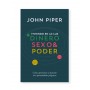 Viviendo en la Luz: Dinero, Sexo & Poder - John Piper - Libro