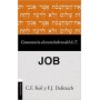 Comentario al texto hebreo del Antiguo Testamento - Job