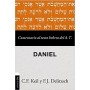 Comentario al texto hebreo del Antiguo Testamento - Daniel - Franz Julius - Libro