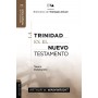 La Trinidad en el Nuevo Testamento (Ed. Rústica) - Arthur W. Wainwright - Libro