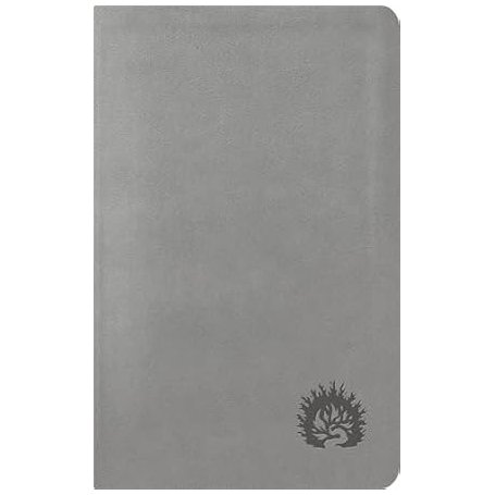 Biblia De Estudio De La Reforma - Ed. Condensada Simil Piel Gris - BIBLIAS