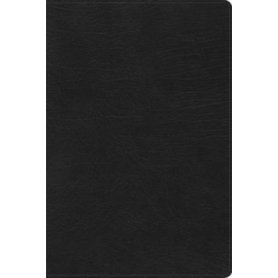 Biblia RVR 1960 de Estudio Arco Iris Negro Símil Piel