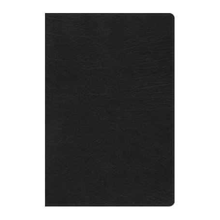 Biblia RVR 1960 de Estudio Arco Iris Negro Símil Piel