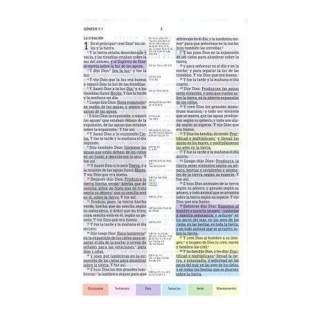 Biblia RVR 1960 de Estudio Arco Iris Negro Símil Piel