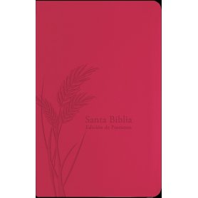 Biblia RVR 1960 Promesas Letra Grande Tamaño Manual Rosada con Índice