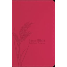 Biblia RVR 1960 Promesas Letra Grande Tamaño Manual Rosada Cierre con Índice