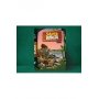 Biblia RVR 1960 para Niños Vinilo con Cierre
