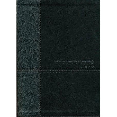Biblia RVR 1960 de Estudio Diario Vivir Negro Ónice Símil Piel