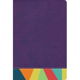 Biblia RVR 1960 de Estudio Arco Iris Símil Piel Morado Multicolor