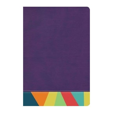 Biblia RVR 1960 de Estudio Arco Iris Símil Piel Morado Multicolor