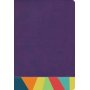 Biblia RVR 1960 de Estudio Arco Iris Símil Piel Morado Multicolor