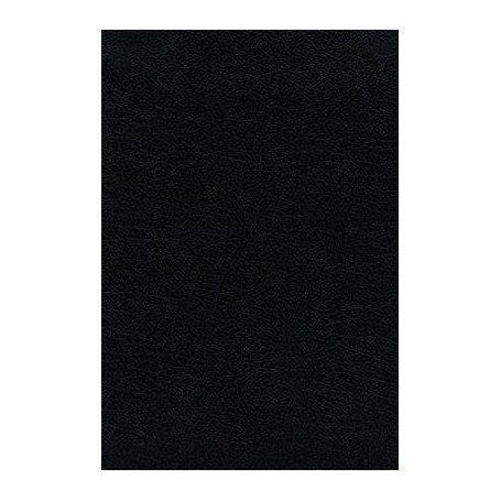 Biblia RVR 1960 Ultrafina Letra Grande Piel Fabricada Negro Interior a dos Colores