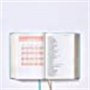 Biblia NBLA Ama a Dios Grandemente Piel Turquesa Interior a Cuatro Colores