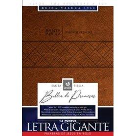 Biblia RVR 1960 de Promesas Letra Gigante Símil Piel Café