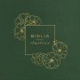 Biblia RVR 1960 para Ilustrar Verde Símil Piel