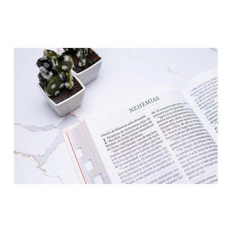 Biblia RVR 1960 Súper Gigante Negro Piel con Índice