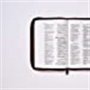 Biblia RVR 1960 Ultrafina Tierra Santa Letra Grande Símil Piel Café con Cierre