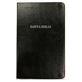 Biblia NVI Ultrafina Negro Piel Fabricada