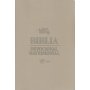 Biblia NBV Devocional Matrimonial Símil Piel