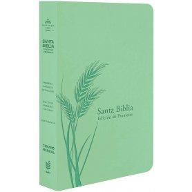 Biblia RVR 1960 Letra Grande Tamaño Manual Menta Símil Piel