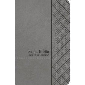 Biblia RVR 1960 Promesas Letra Grande Tamaño Manual Gris Símil Piel