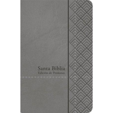 Biblia RVR 1960 Promesas Letra Grande Tamaño Manual Gris Símil Piel