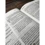 Biblia RVR 1977 de Estudio Patrística Café Símil Piel
