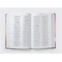 Biblia de América Católica Económica Tapa Dura
