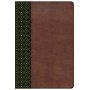 Biblia RVR 1960 de Estudio Scofield Verde Bosque Café Símil Piel con Índice