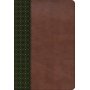 Biblia RVR 1960 de Estudio Scofield Verde Bosque Café Símil Piel