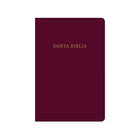 Biblia RVR 1960 Letra Grande Tamaño Manual Piel Marrón Índice