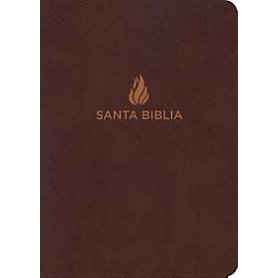 Biblia NVI Letra Súper Gigante Piel Marrón