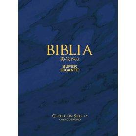 Biblia RVR 1960 Letra Súper Gigante Cuero Genuino Azul con Índice