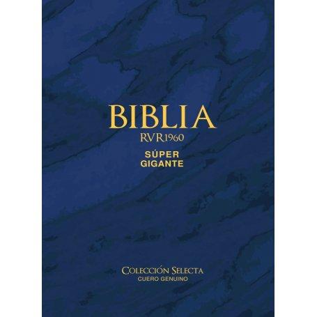 Biblia RVR 1960 Letra Súper Gigante Cuero Genuino Azul con Índice