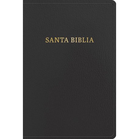 Biblia RVR 1960 Letra Gigante Negro Símil Piel