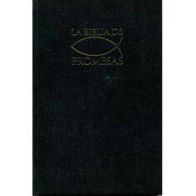 Biblia RVR 1960 Promesas Negro Tapa Dura Concordancia