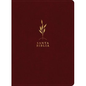 Biblia RVR 1960 de Estudio del Diario Vivir Letra Grande Símil Piel Vino Tinto Letra Roja