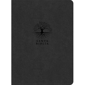 Biblia RVR 1960 de Estudio del Diario Vivir Letra Grande Símil Piel Carbón Letra Roja