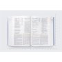 Biblia NVI de Estudio Letra Grande Tapa Dura