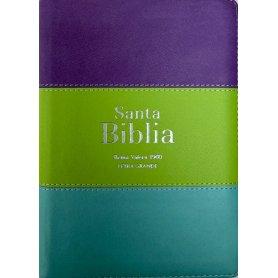 Biblia RVR 1960 Compacta Letra Grande 11 puntos Símil Piel Lila Verde Aguamarina con Cierre y Índice
