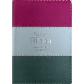 Biblia RVR 1960 Compacta Letra Grande 11 puntos Símil Piel Magenta Verde Glacial Verde Grisaceo con Cierre y Índice