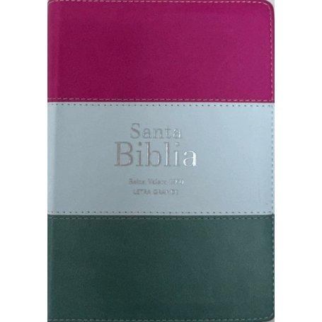 Biblia RVR 1960 Compacta Letra Grande 11 puntos Símil Piel Magenta Verde Glacial Verde Grisaceo con Cierre y Índice
