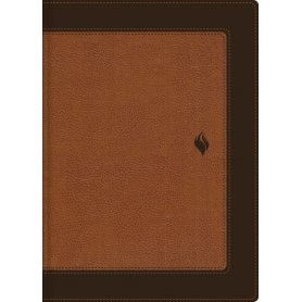 Biblia RVR 1960 de Estudio de la Vida Plena Piel dos Tonos Café