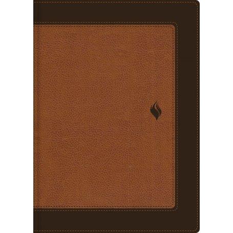 Biblia RVR 1960 de Estudio de la Vida Plena Piel dos Tonos Café