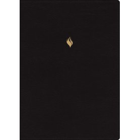 Biblia RVR 1960 de Estudio de la Vida Plena Edición Clásica Piel Negro con Índice y Cierre