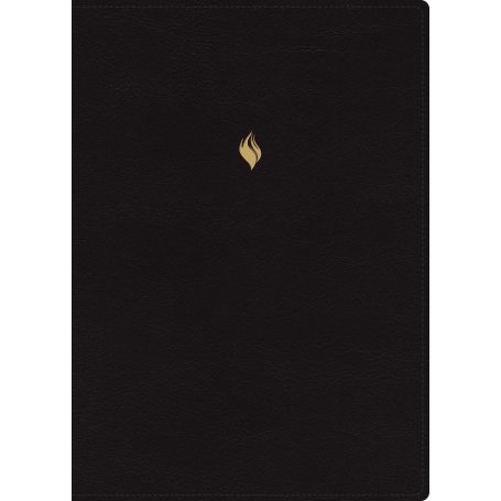 Biblia RVR 1960 de Estudio de la Vida Plena Edición Clásica Piel Negro con Índice y Cierre