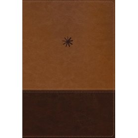 Biblia NBLA Cronológica de Estudio