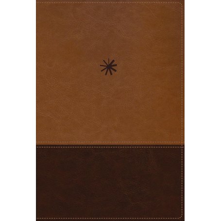 Biblia NBLA Cronológica de Estudio